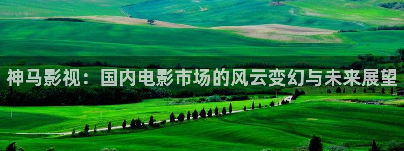 奇米在线视频7777：神马影视：国内电影市场的风云变幻与未来展望
