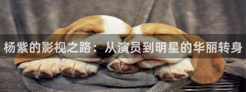 奇米在线视频8888：杨紫的影视之路：从演员到明星的华丽转身