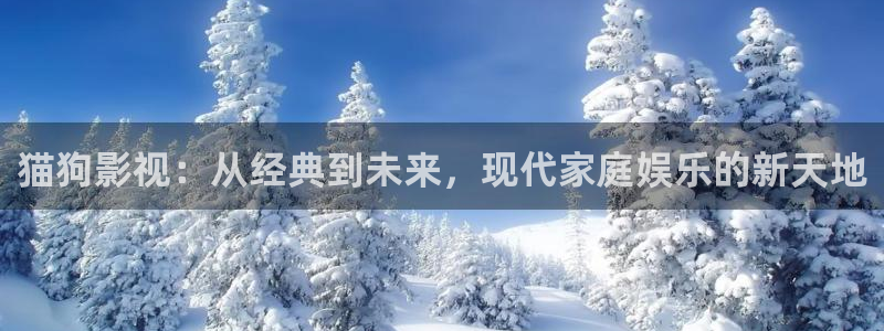 奇米在线视频第四色：猫狗影视：从经典到未来，现代家庭娱乐的新天地