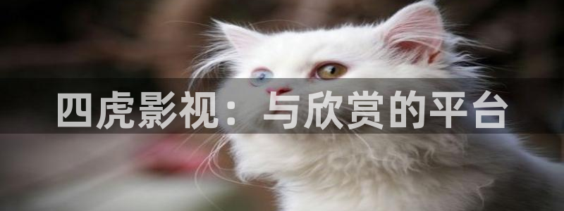 奇米在线视频免费观看：四虎影视：与欣赏的平台