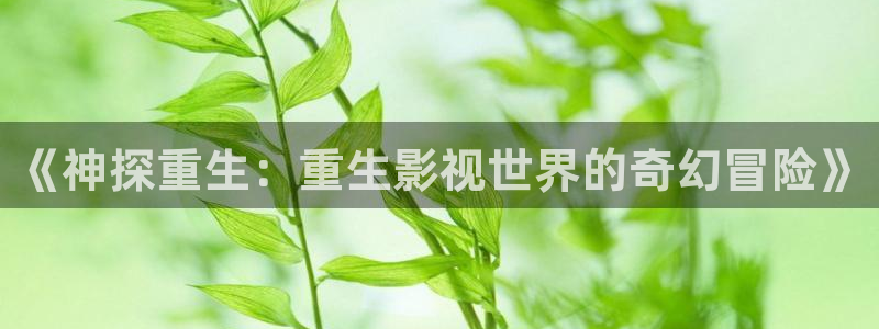 奇米在线视频网站：《神探重生：重生影视世界的奇幻冒险》