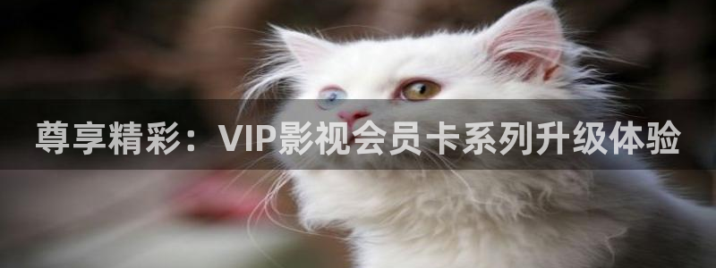 8888四色奇米在线观看：尊享精彩：VIP影视会员卡系列升级体验
