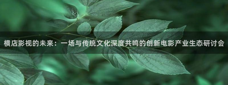奇米在线视频免费播放：横店影视的未来：一场与传统文化深度共鸣的创新电影产业生态研讨会
